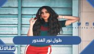 كم طول نور الغندور