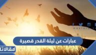 عبارات عن ليلة القدر قصيرة 2026 أجمل عبارات دعاء في ليلة القدر