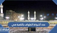 عدد أشواط الطواف بالكعبة هي