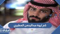 كم ثروة عبدالرحمن المطيري مشهور السناب