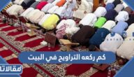 اول من فان مايقوم اذا السفر قدم به النبي مكانة المسجد