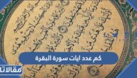 كم عدد ايات سورة البقرة