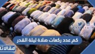 كم عدد ركعات صلاة ليلة القدر