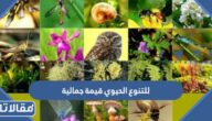 للتنوع الحيوي قيمة جمالية صواب ام خطا
