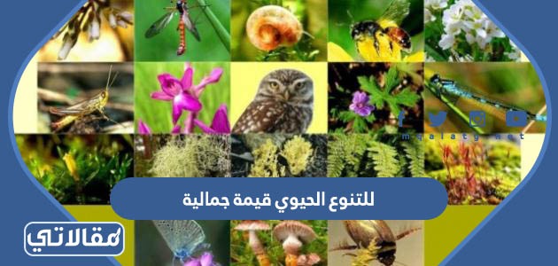 للتنوع الحيوي قيمة جمالية صواب ام خطا