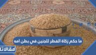ما حكم زكاة الفطر للجنين في بطن امه
