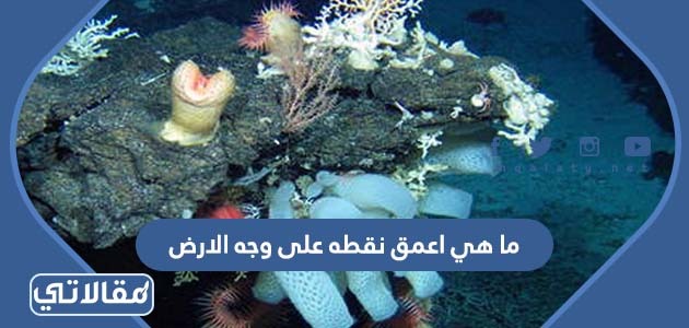 ما هي اعمق نقطه على وجه الارض