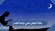ماذا افعل في ليله القدر ، 20 نصيحة للفوز بليلة القدر
