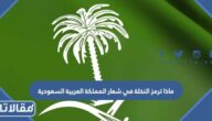 إلى ماذا ترمز النخلة في شعار المملكة العربية السعودية