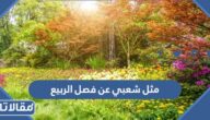 مثل شعبي عن فصل الربيع