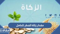 مقدار زكاة الفطر للحامل ، هل تدفع زكاة الفطر للجنين