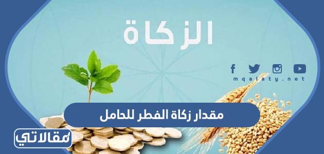 مقدار زكاة الفطر للحامل