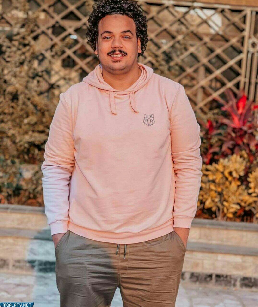 من هو مصطفى غريب ويكيبيديا