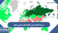 نسبة الذكور في العالم الإسلامي تبلغ