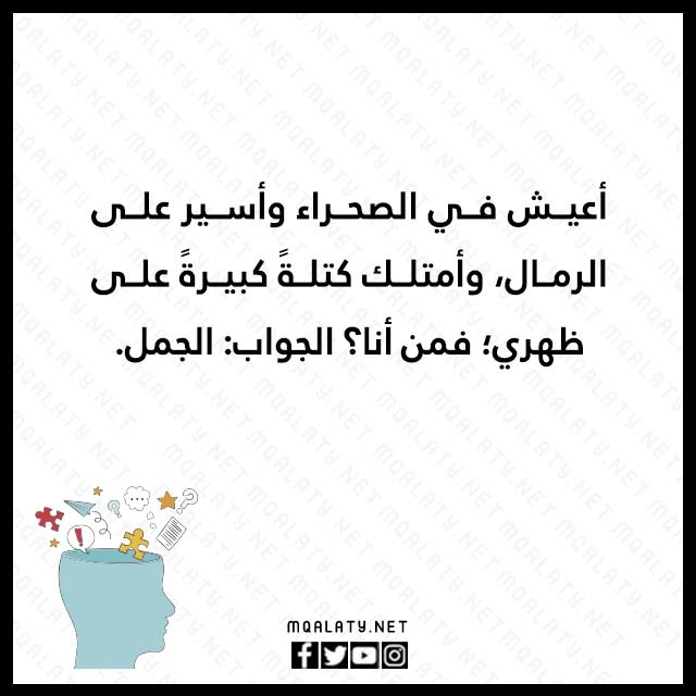 صور الغاز حيوانات مع الحل