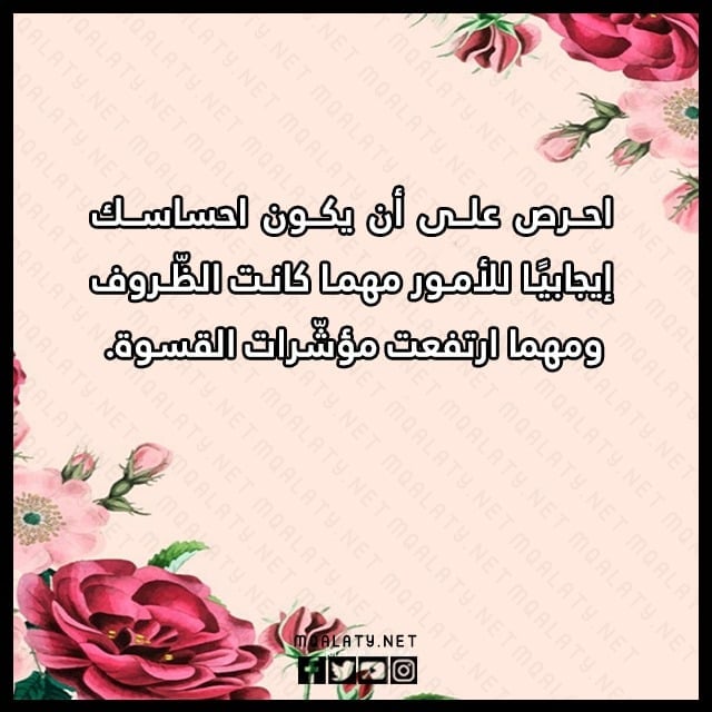 بايو انستا فخم