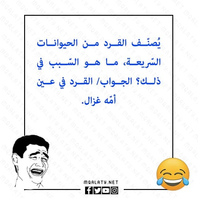 صور سؤال وجواب مضحك للمسابقات