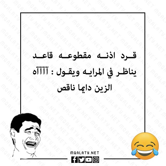 صور اكثر نكتة تضحك في العالم