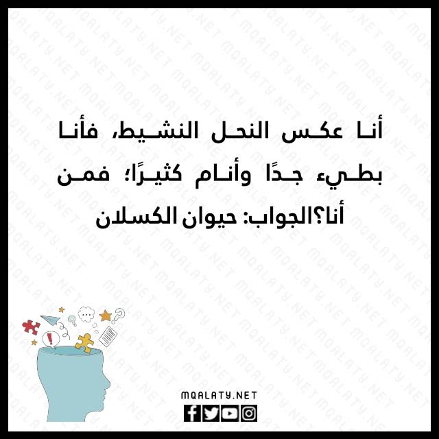 صور الغاز حيوانات مع الحل