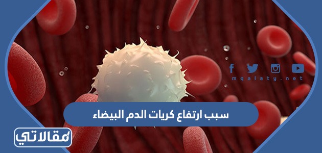 سبب ارتفاع كريات الدم البيضاء