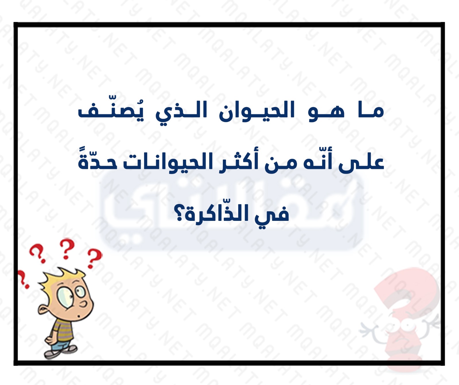 سؤال صعب للبنات وجواب