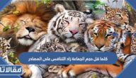 كلما قل حجم الجماعة زاد التنافس على المصادر صواب ام خطا