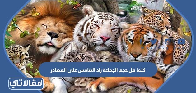 كلما قل حجم الجماعة زاد التنافس على المصادر صواب ام خطا