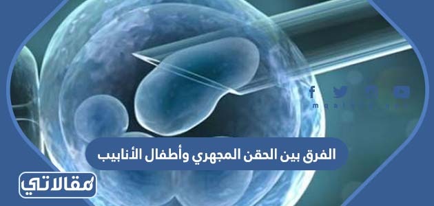 الفرق بين الحقن المجهري وأطفال الأنابيب