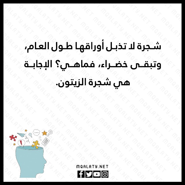 الغاز مع الحل بالصور 2023