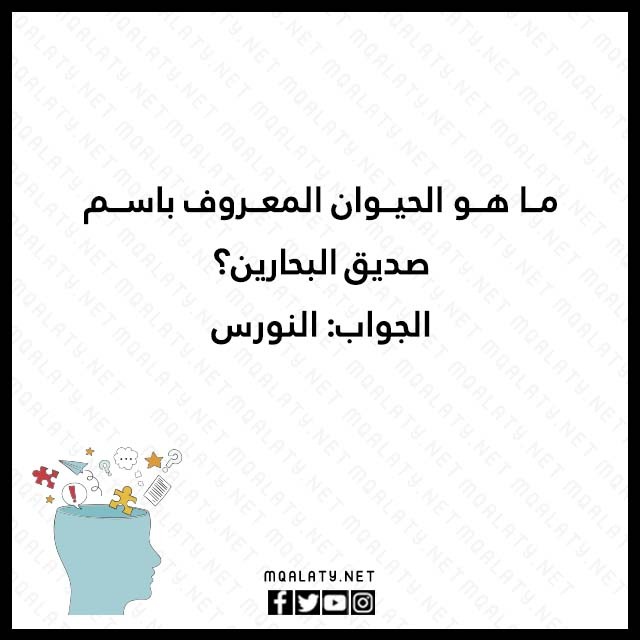 الغاز صور مع الحل 2023