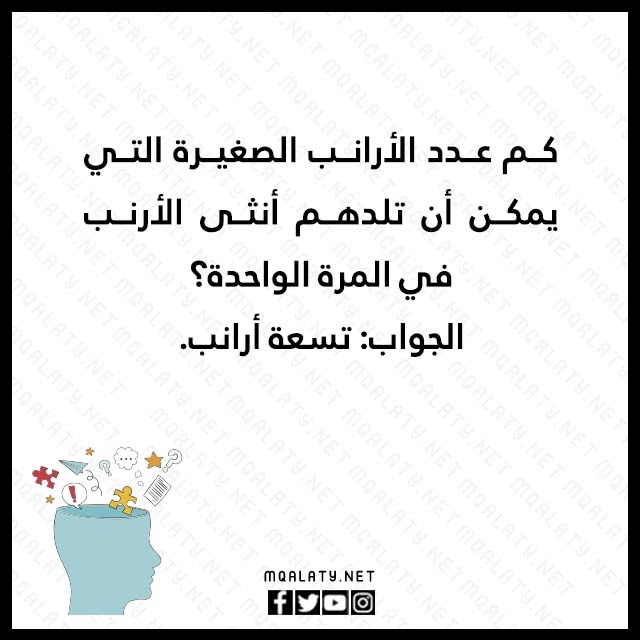 صور مكتوب عليها الغاز