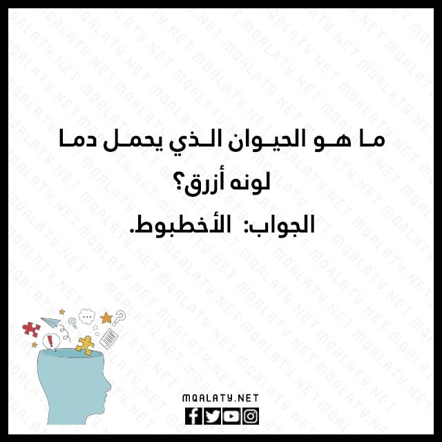 صور الغاز سهله للاطفال مع الجواب