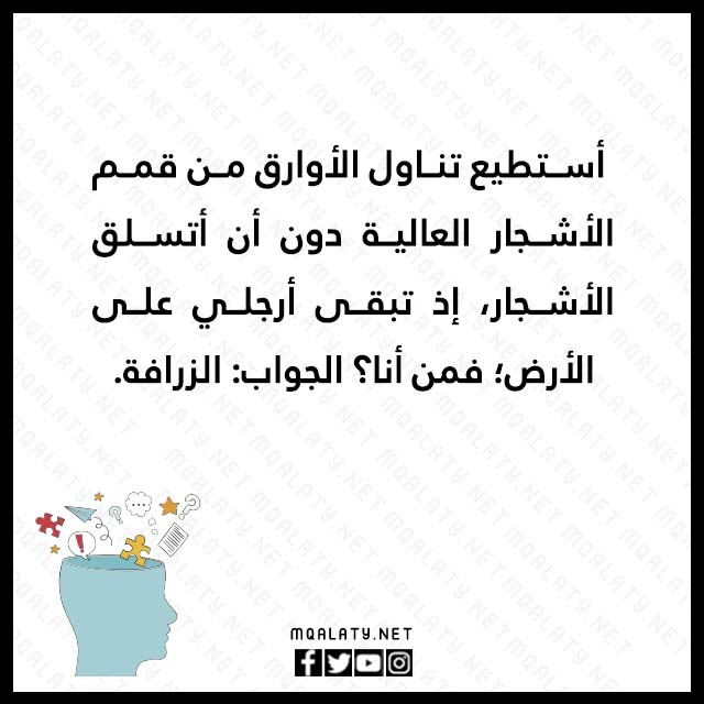 صور الغاز حيوانات مع الحل