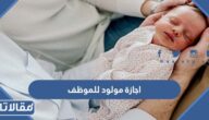 تفاصيل اجازة مولود للموظف في السعودية
