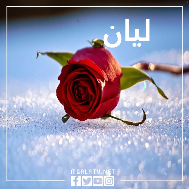 صور خلفيات مكتوب عليها اسم ليان