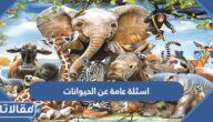 اسئلة عامة عن الحيوانات واجابتها 2025