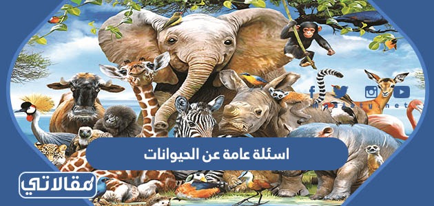 اسئلة عامة عن الحيوانات واجابتها