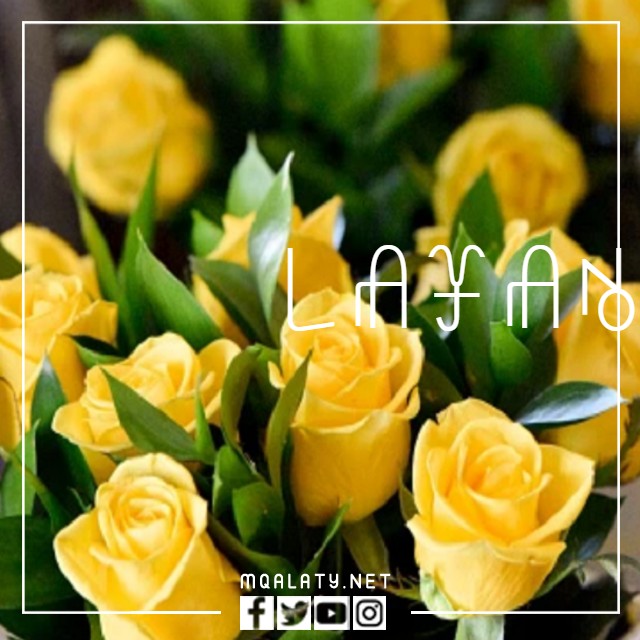 صور اسم ليان بالانجليزي مزخرف