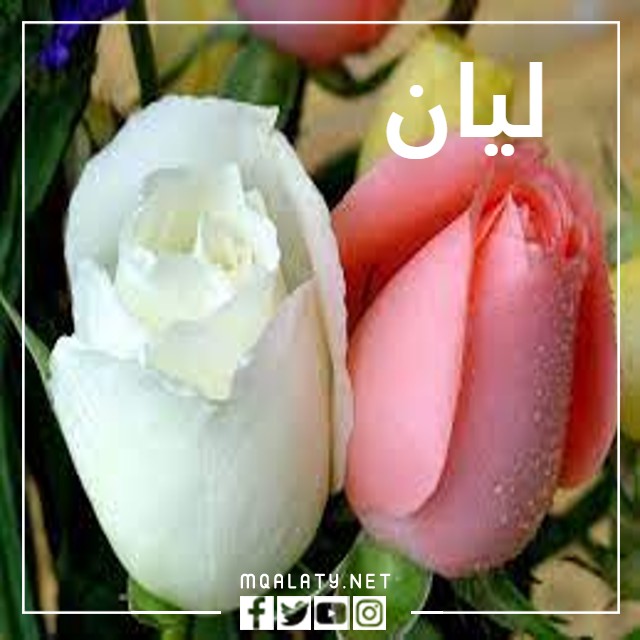 صور اسم ليان بالعربي