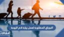 الاوراق المطلوبة لعمل زيارة لام الزوجة في السعودية 1448 – 2026
