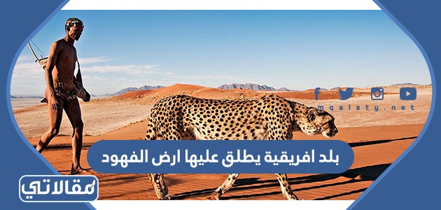 بلد افريقية يطلق عليها ارض الفهود من 7 حروف
