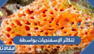 تتكاثر الإسفنجيات بواسطة