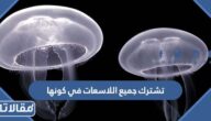 تشترك جميع اللاسعات في كونها