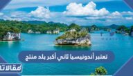 تعتبر أندونيسيا ثاني أكبر بلد منتج