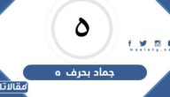 اسم جماد بحرف ه الهاء