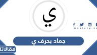اسم جماد بحرف ي الياء