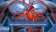 جهاز الجسم الذي يدفع الدم مباشرةً في أنسجة الحيوان هو الجهاز