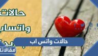 حالات واتس اب 2025 اجمل حالات واتساب مكتوبة كتابة