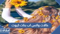 حالات واتس اب بنات كيوت 2025 اجمل حالات بنات كيوت للواتس