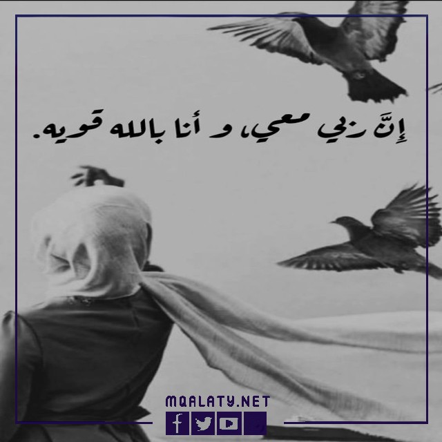 حالات واتس اب بنات كيوت محجبات